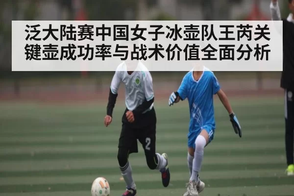 泛大陆赛中国女子冰壶队王芮关键壶成功率与战术价值全面分析（fengniaodianjing）
